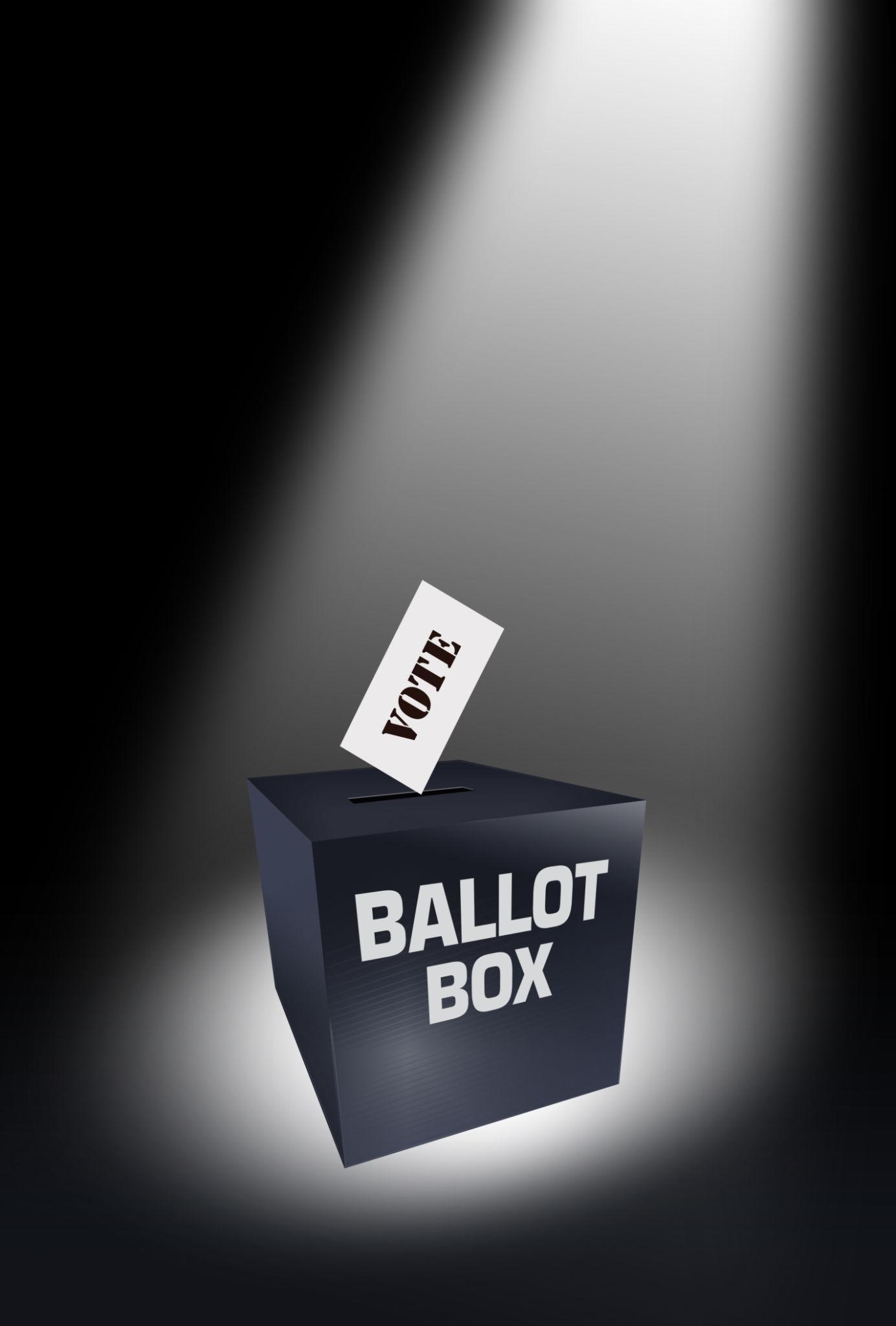 Demokrasi Tanpa Kompetisi?